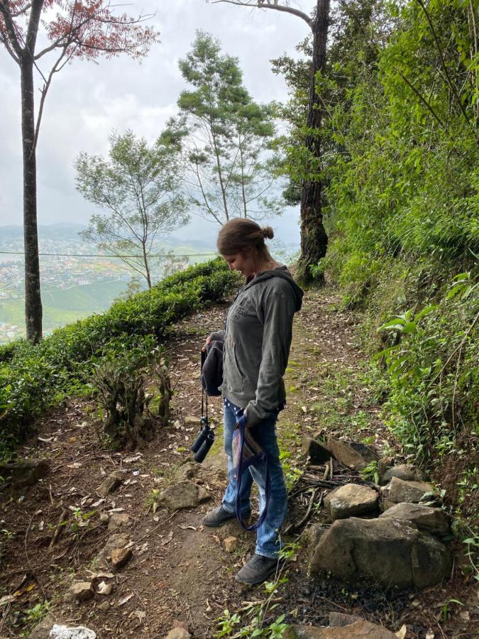 W15 Lake Gregory Nuwara Eliya Dış mekan fotoğraf